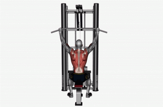 Back Chest Legs and Shoulders