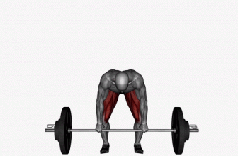 Full Body Split Workout