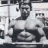 Fitness Empire: Netflix Arnold