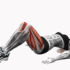 The Muscle Group Workout
