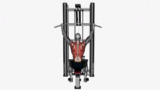 Back Chest Legs and Shoulders
